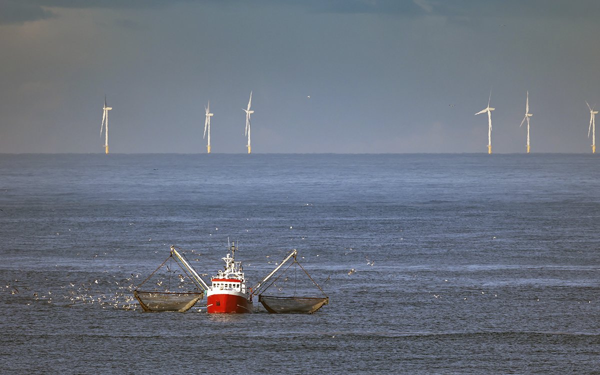 Brukerundersøkelse Nordsjøen Mareano