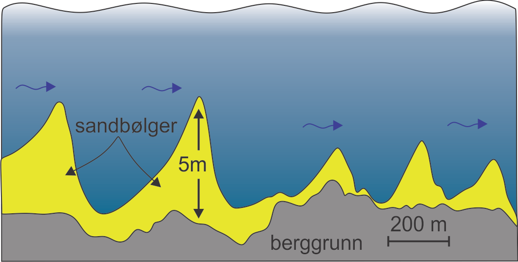 Figur 4. Tverrsnitt av sandbølger nord for Bjørnøya. Vertikalskalaen er overdrevet.