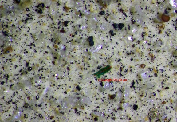 Den grønne partikkelen midt i bildet er mikroplast i en sedimentprøve fra Norskehavet. Lengste dimensjon er 0,23 mm (231 µm).