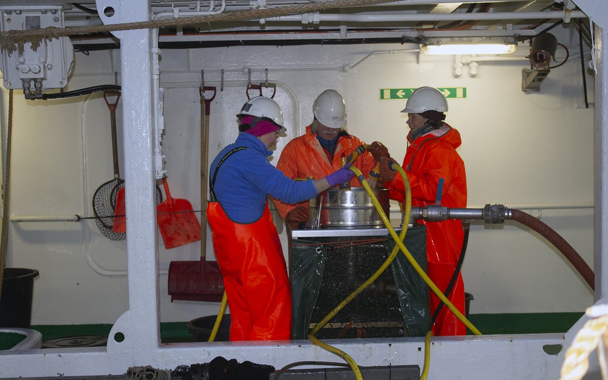 Three persons are working on deck