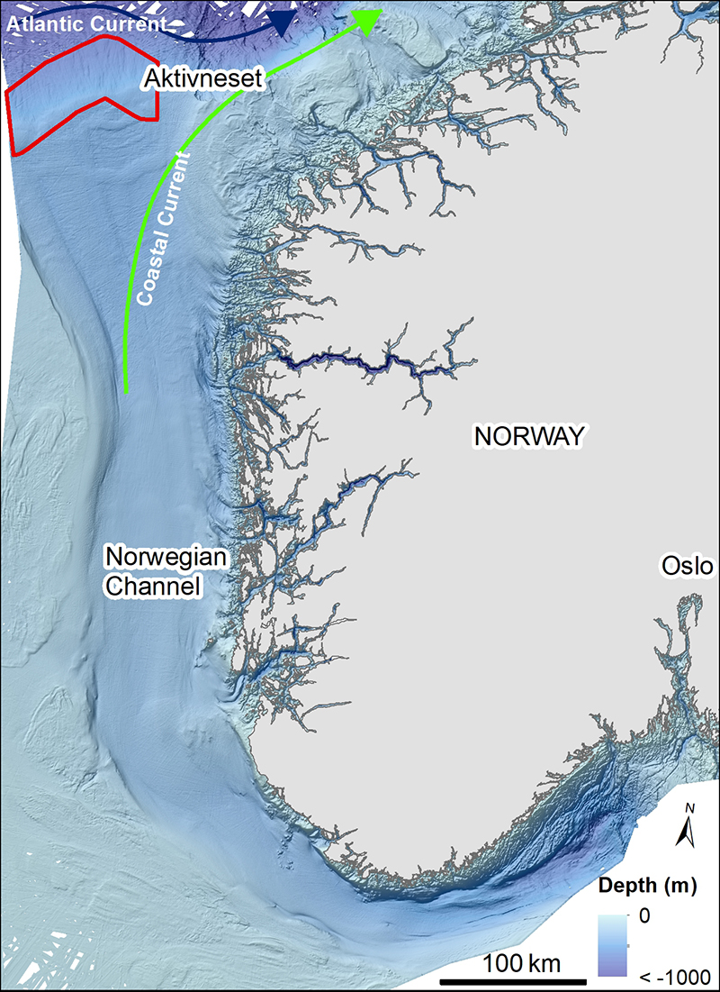 The second study area of the Easter Mareano cruise is located at the outer part of the Norwegian Channel and west of Aktivneset (red polygon). Bathymetry data from Mareano/Kartverket and Olex.