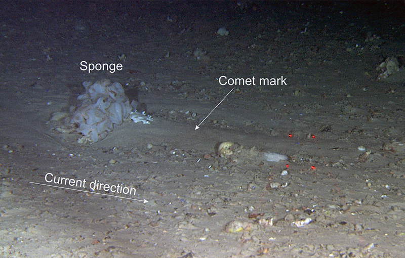 Long comet marks behind sponges and stones