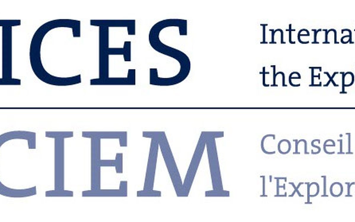 ICES logo