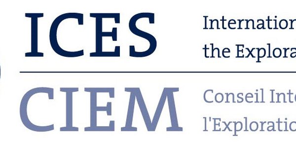 ICES logo