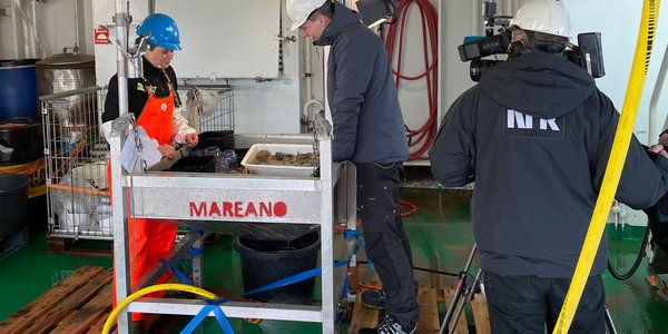 NRK-fotograf filmer mens programleder og biolog ser på ulike dyr.