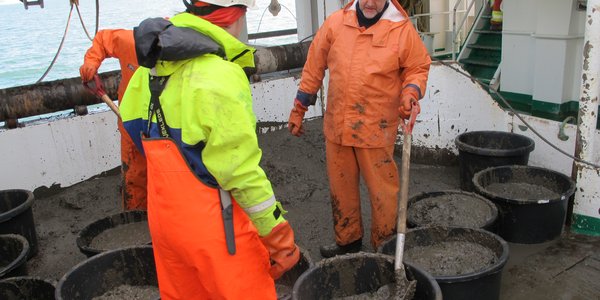 Bomtrålfangst Ragni og Andrey