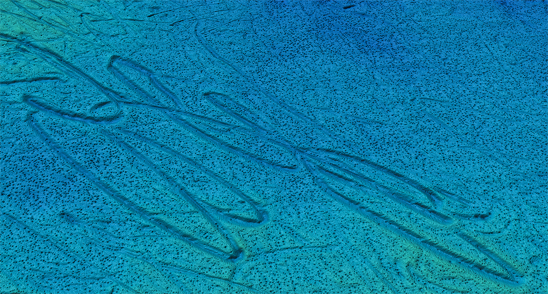 Blått skuggerelieff av havbotnen basert på terrengmodell med oppløysning på fem meter mellom djupnepunkta. Havbotnen er prega av pløyemerke frå isfjell og pockmarks. Bilete.