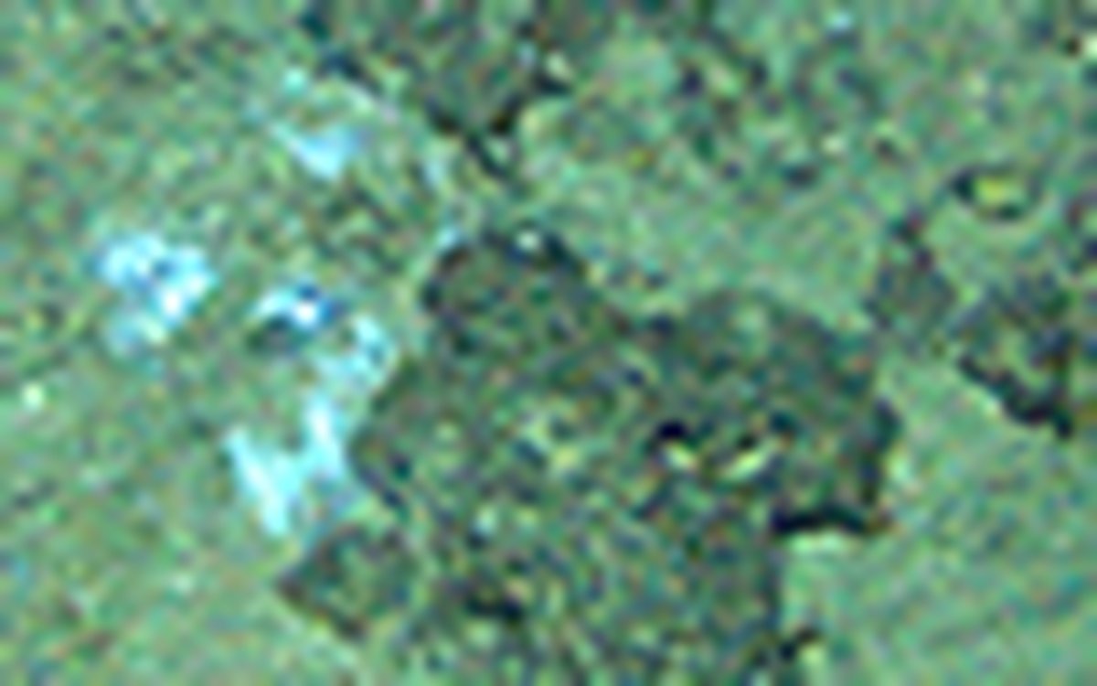 page thumb 7931