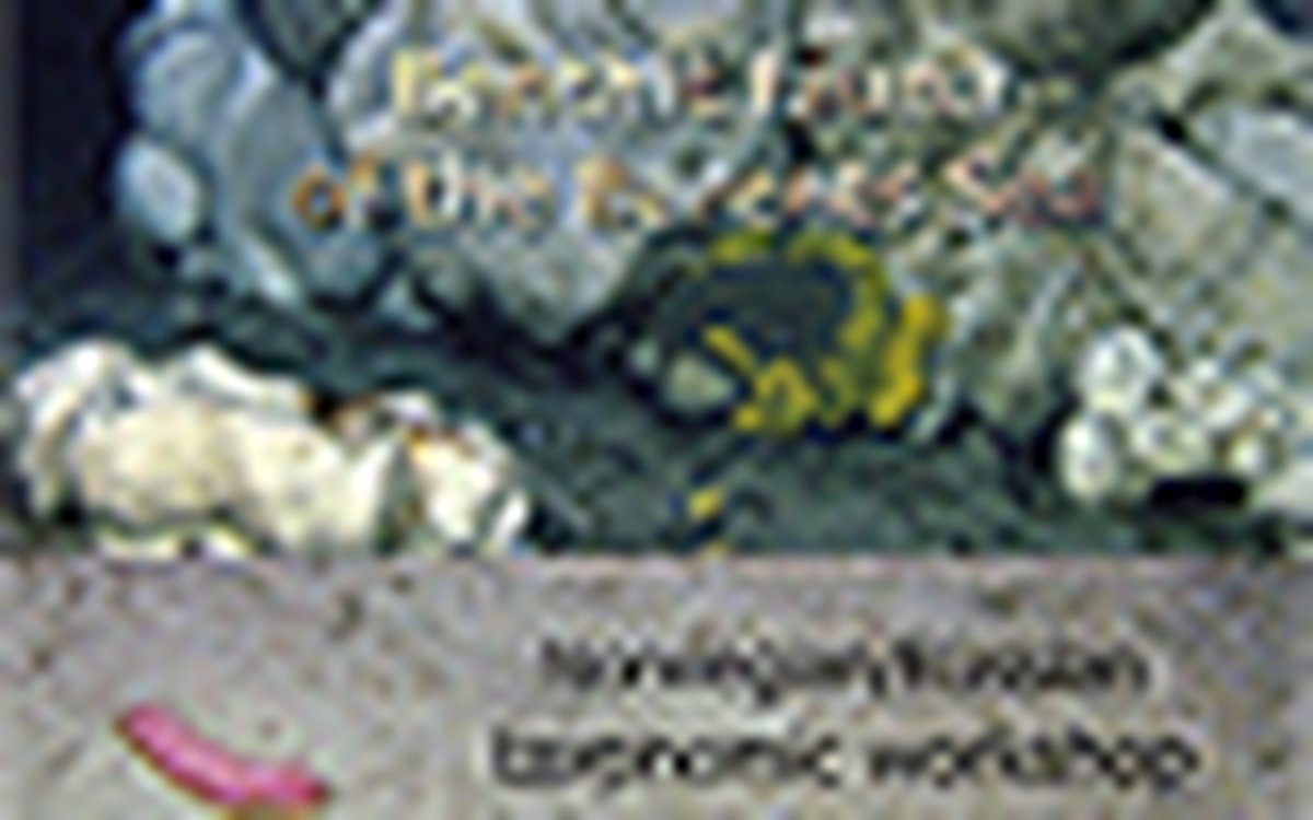 page thumb 8026