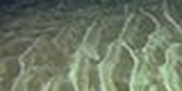 page thumb 8540