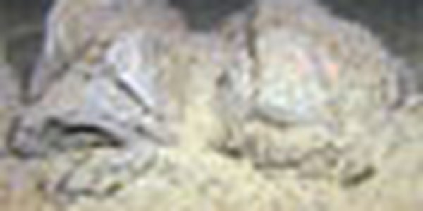 page thumb 8646