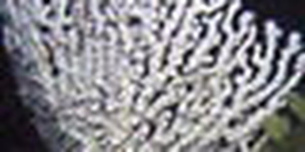 page thumb 8666