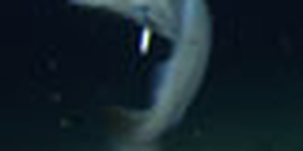 page thumb 9223
