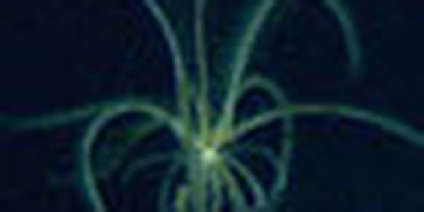 page thumb 9254