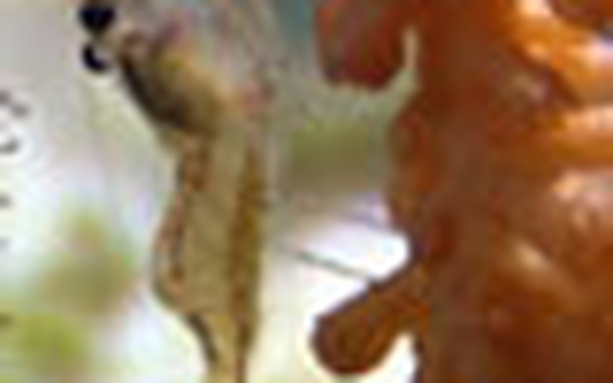 page thumb 9291