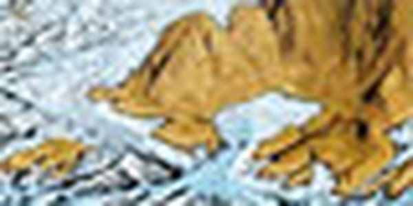 page thumb 9459