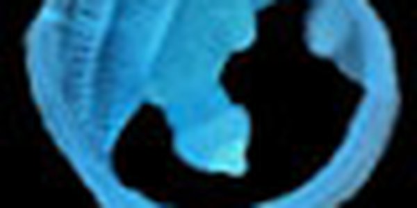 page thumb 9491