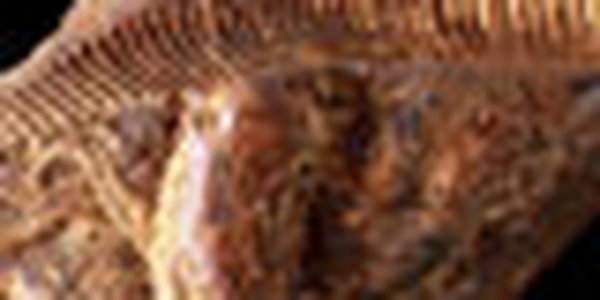 page thumb 9499