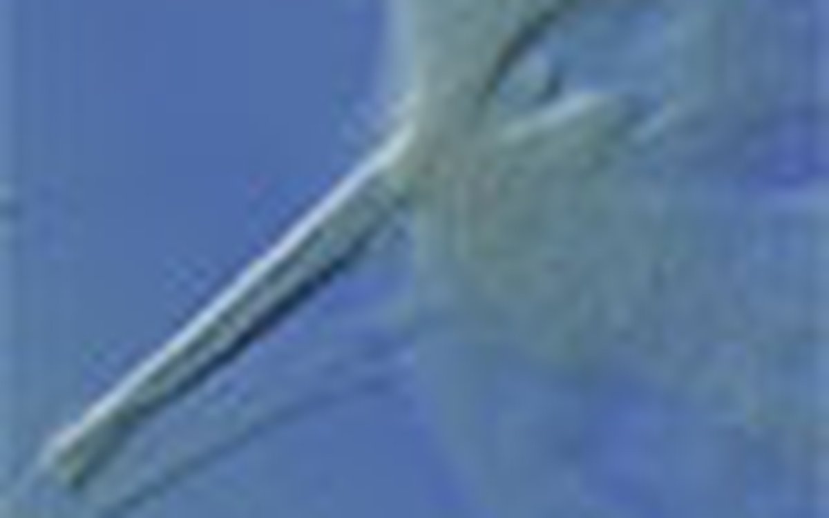 page thumb 9513