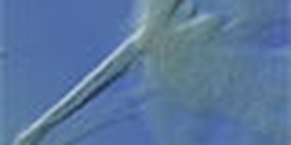 page thumb 9513