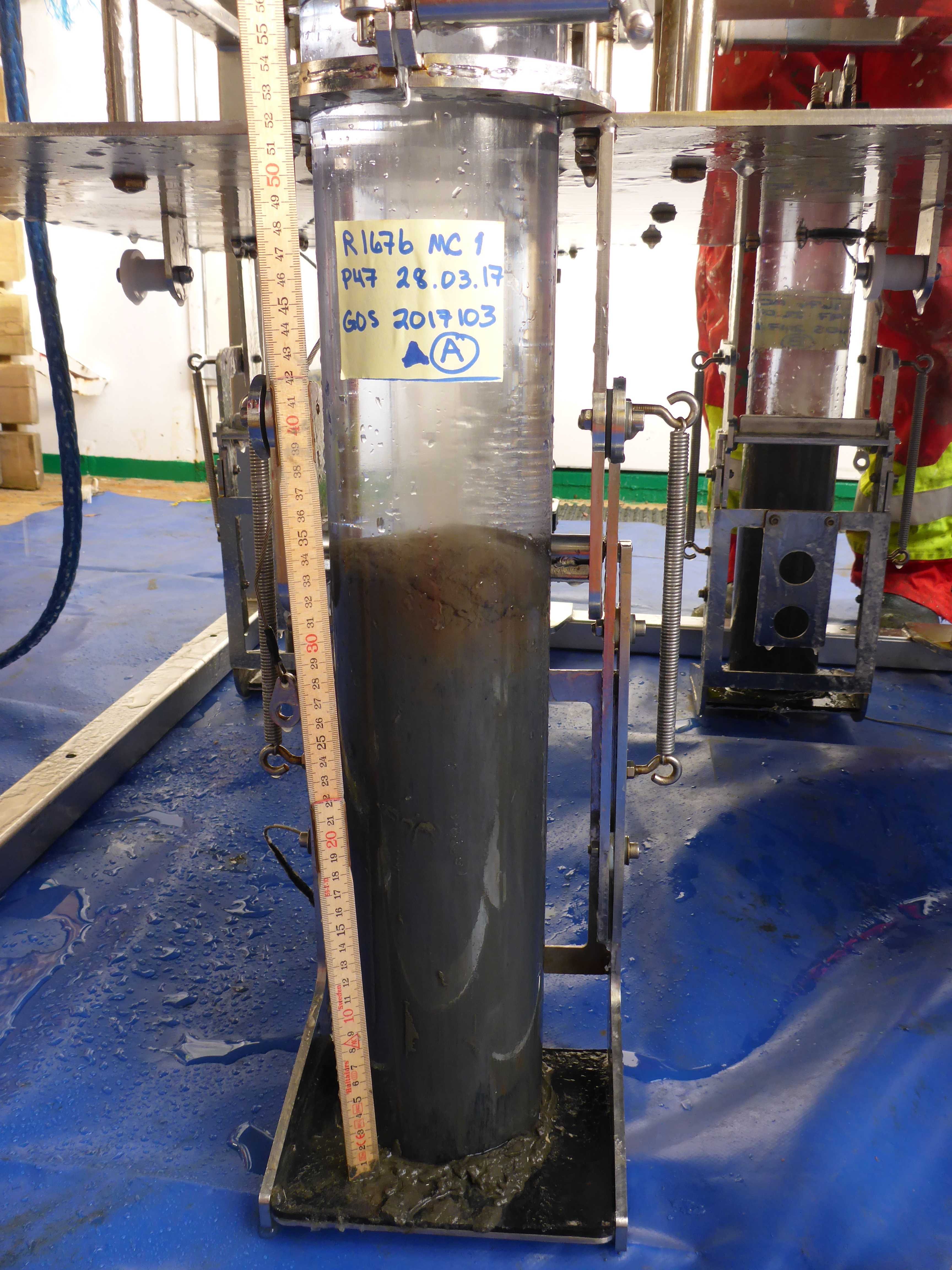 Bilde av en sedimentprøve inne i røret som blir brukt til å ta den.