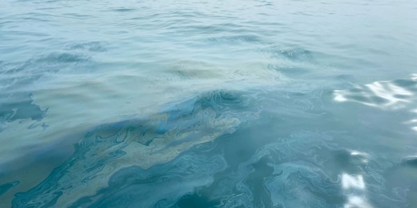 Bilde av et oljeflak på havoverflaten.