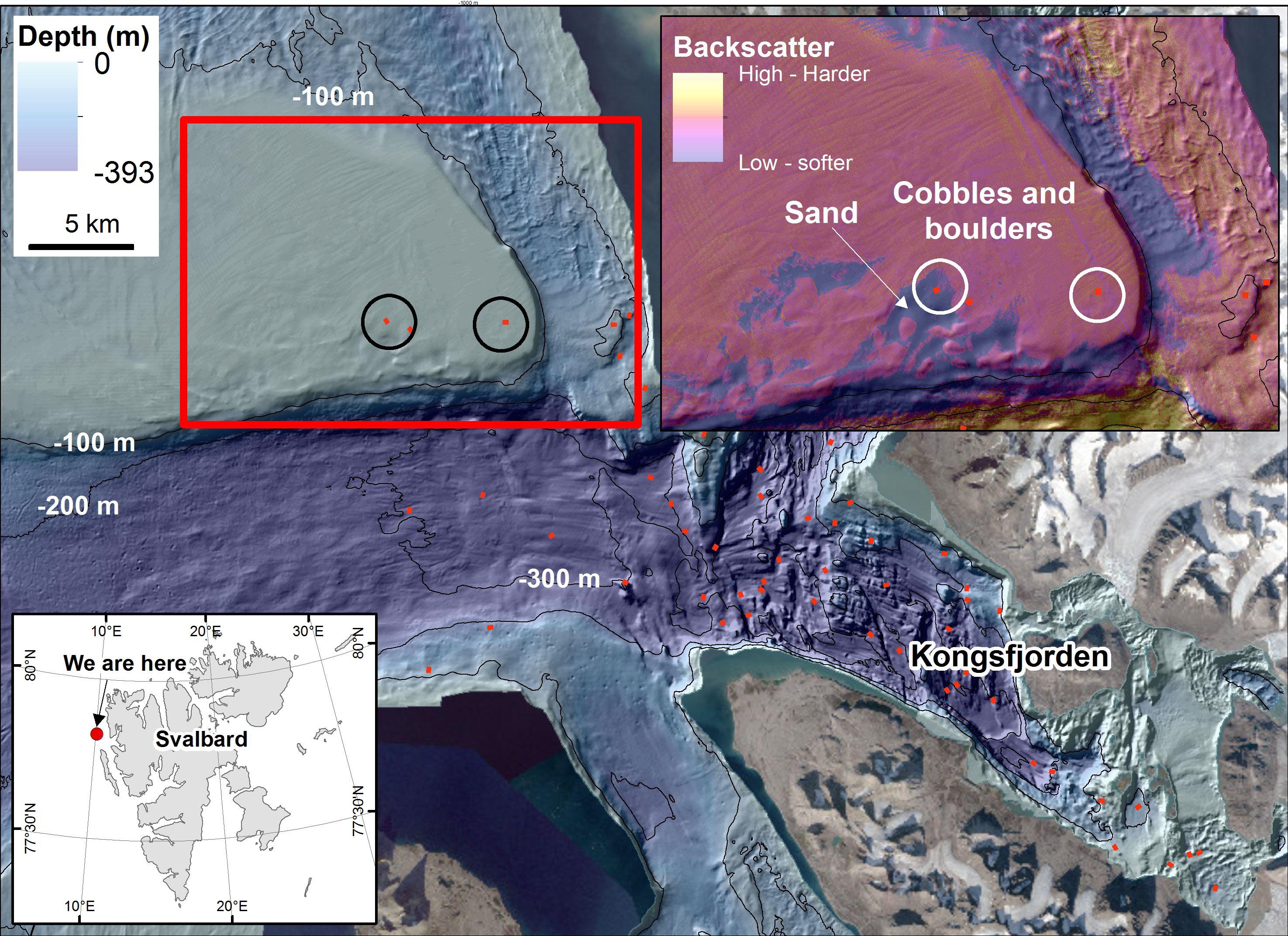 Bathymetry map in and outside Kongsfjorden. The black/white circles indicate the location of the video transects (Figures 3 and 4). Left upper panel: backscatter map (red square in the bathymetry map) showing lower values in sandy areas and higher values in the cobbles and boulders area. (Map: MAREANO/NGU. Bathymetry: MAREANO/Kartverket. Sentinel satellite imagery: Courtesy of Norwegian Polar Institute)
